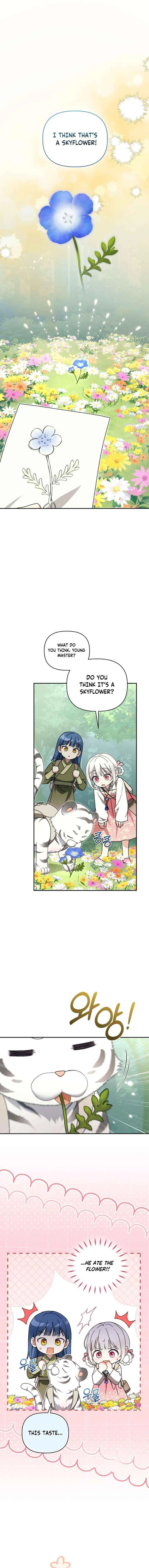 Baby Cotton Ball of the White Tiger Clan Chapter 16 page 11 - 