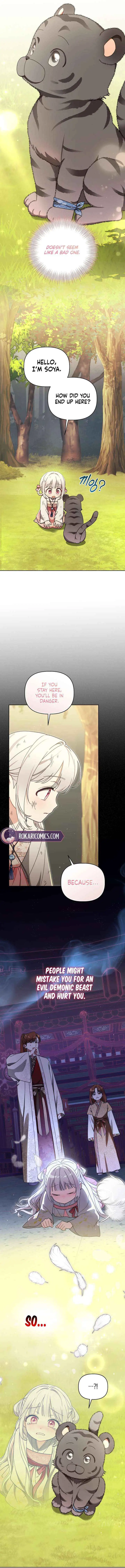 Baby Cotton Ball of the White Tiger Clan Chapter 17 page 12 - 