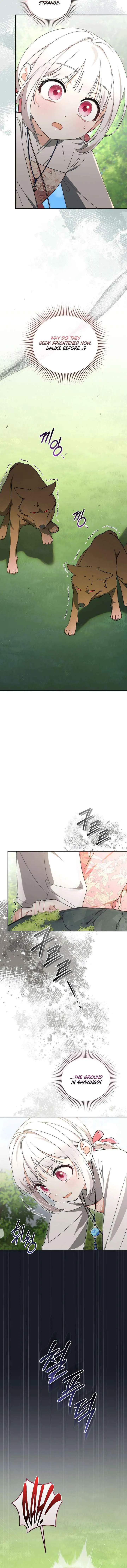 Baby Cotton Ball of the White Tiger Clan Chapter 17 page 4 - 