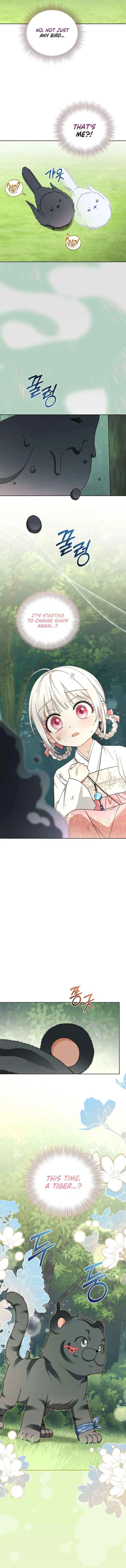 Baby Cotton Ball of the White Tiger Clan Chapter 17 page 7 - 