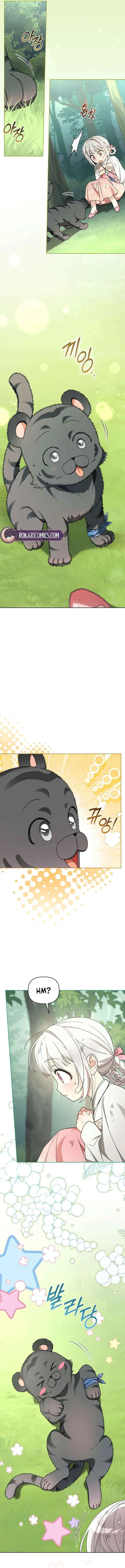 Baby Cotton Ball of the White Tiger Clan Chapter 17 page 8 - 