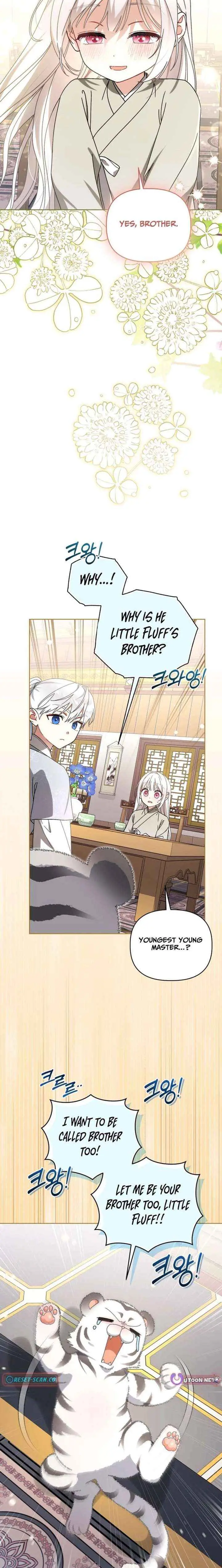 Baby Cotton Ball of the White Tiger Clan Chapter 20 page 8 - 