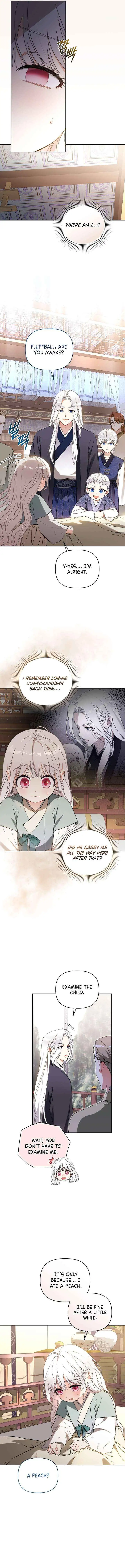 Baby Cotton Ball of the White Tiger Clan Chapter 5 page 14 - 