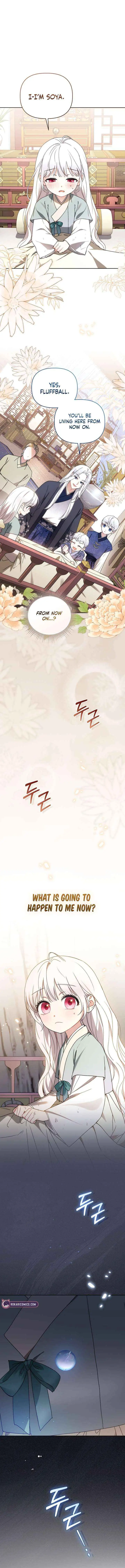 Baby Cotton Ball of the White Tiger Clan Chapter 5 page 16 - 