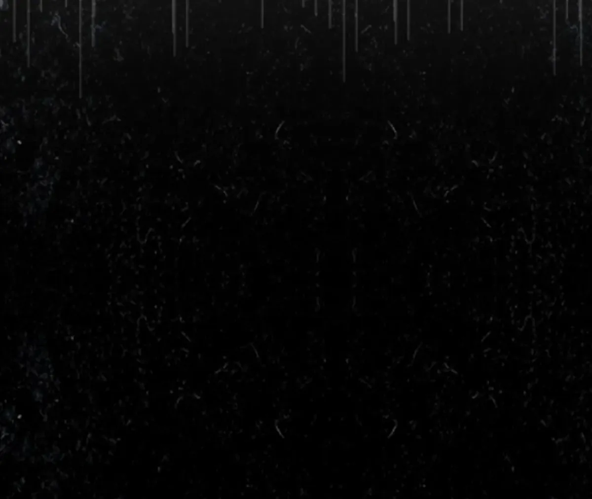 THE WHITE WOLF Chapter 0 page 62 - 