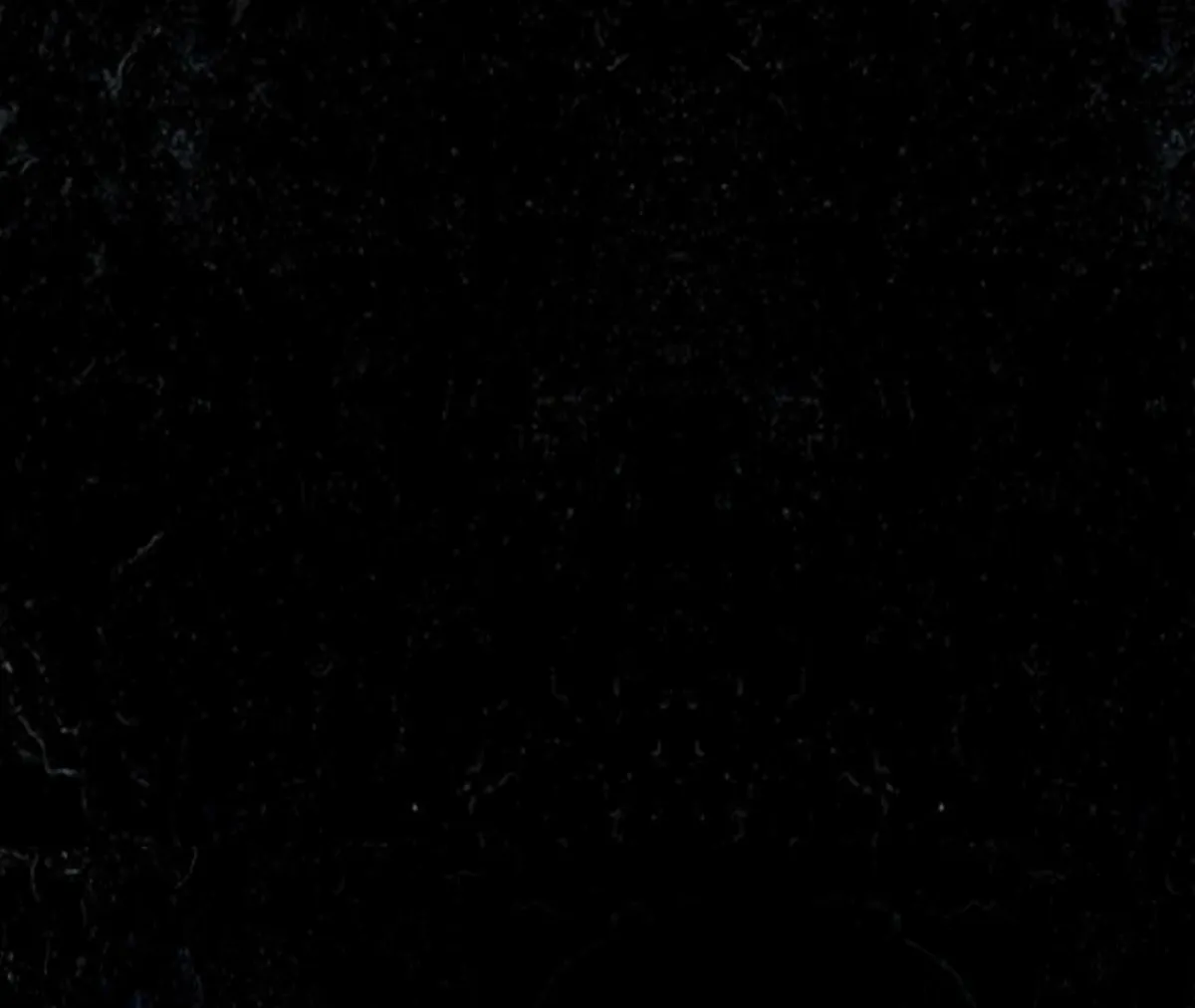 THE WHITE WOLF Chapter 0 page 63 - 
