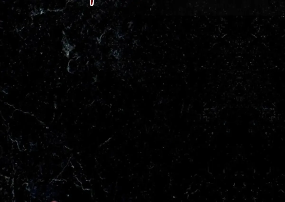 THE WHITE WOLF Chapter 0 page 96 - 