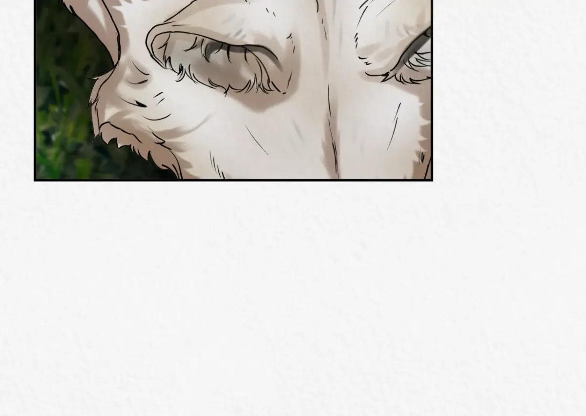 THE WHITE WOLF Chapter 1 page 127 - 