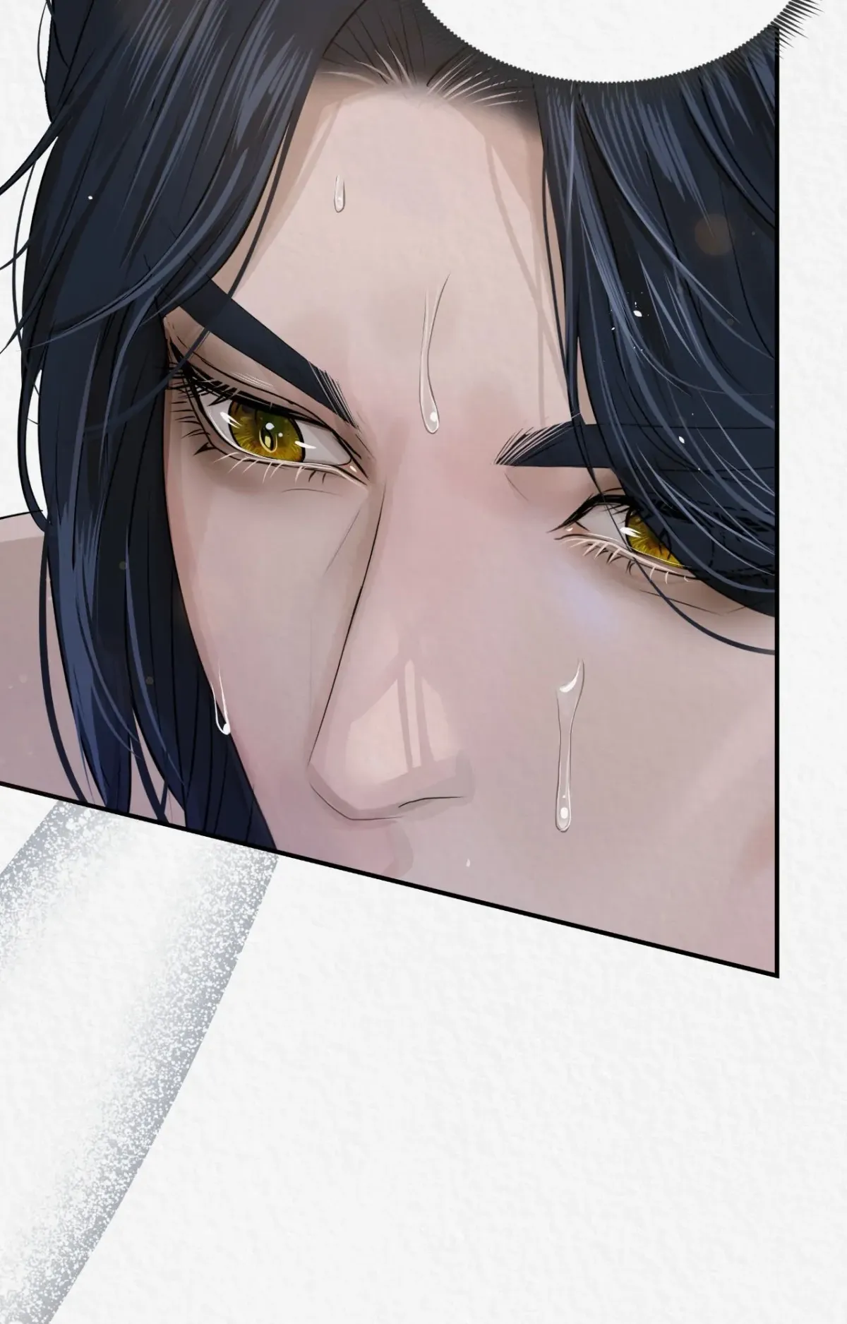 THE WHITE WOLF Chapter 10 page 108 - 