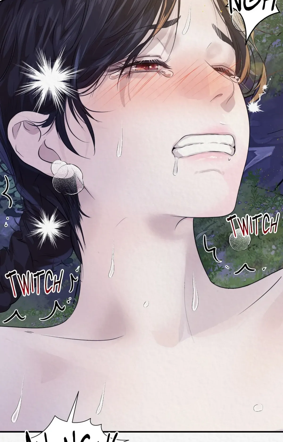 THE WHITE WOLF Chapter 11 page 17 - 