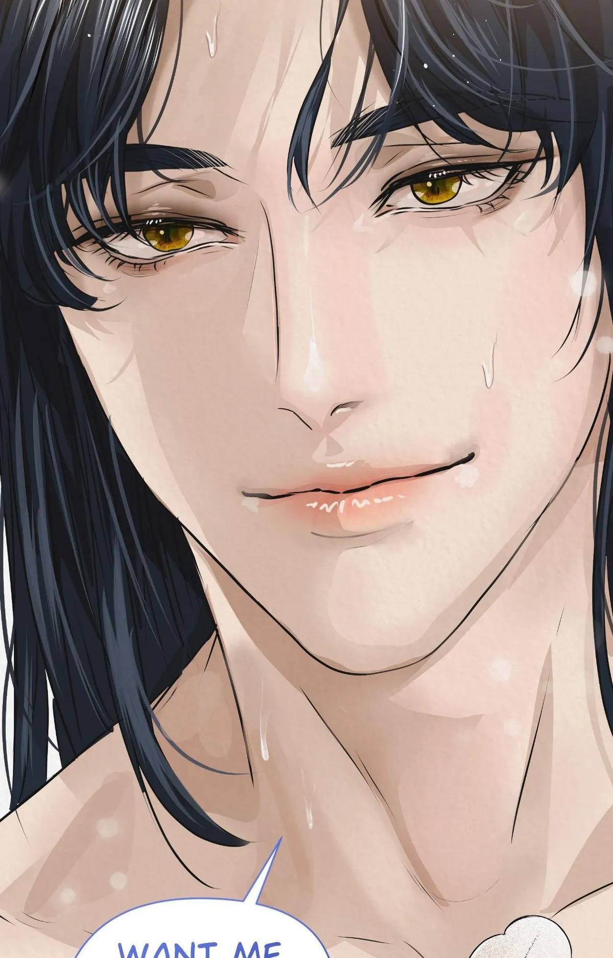 THE WHITE WOLF Chapter 25 page 108 - 