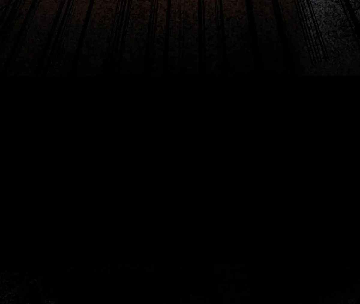 THE WHITE WOLF Chapter 3 page 171 - 