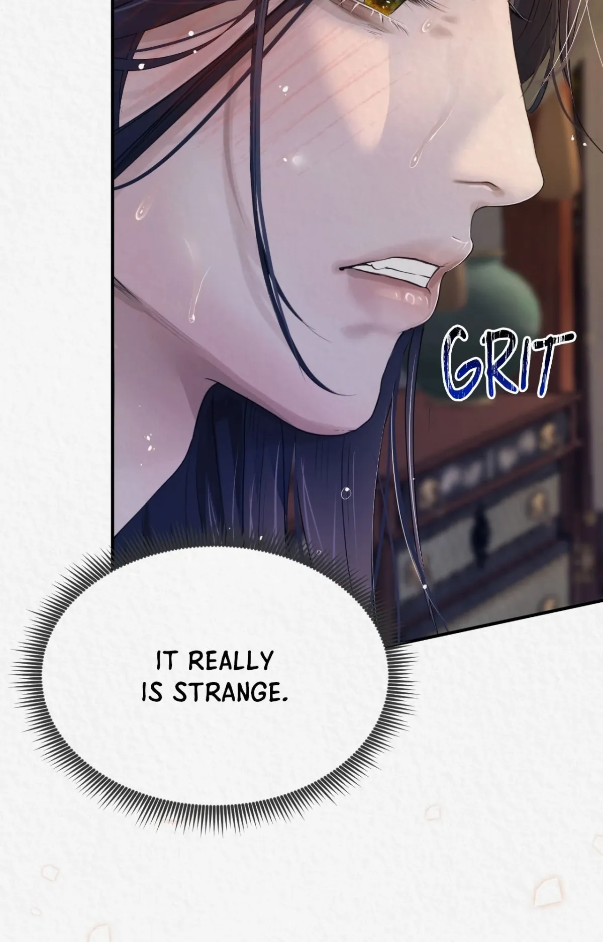 THE WHITE WOLF Chapter 7 page 27 - 