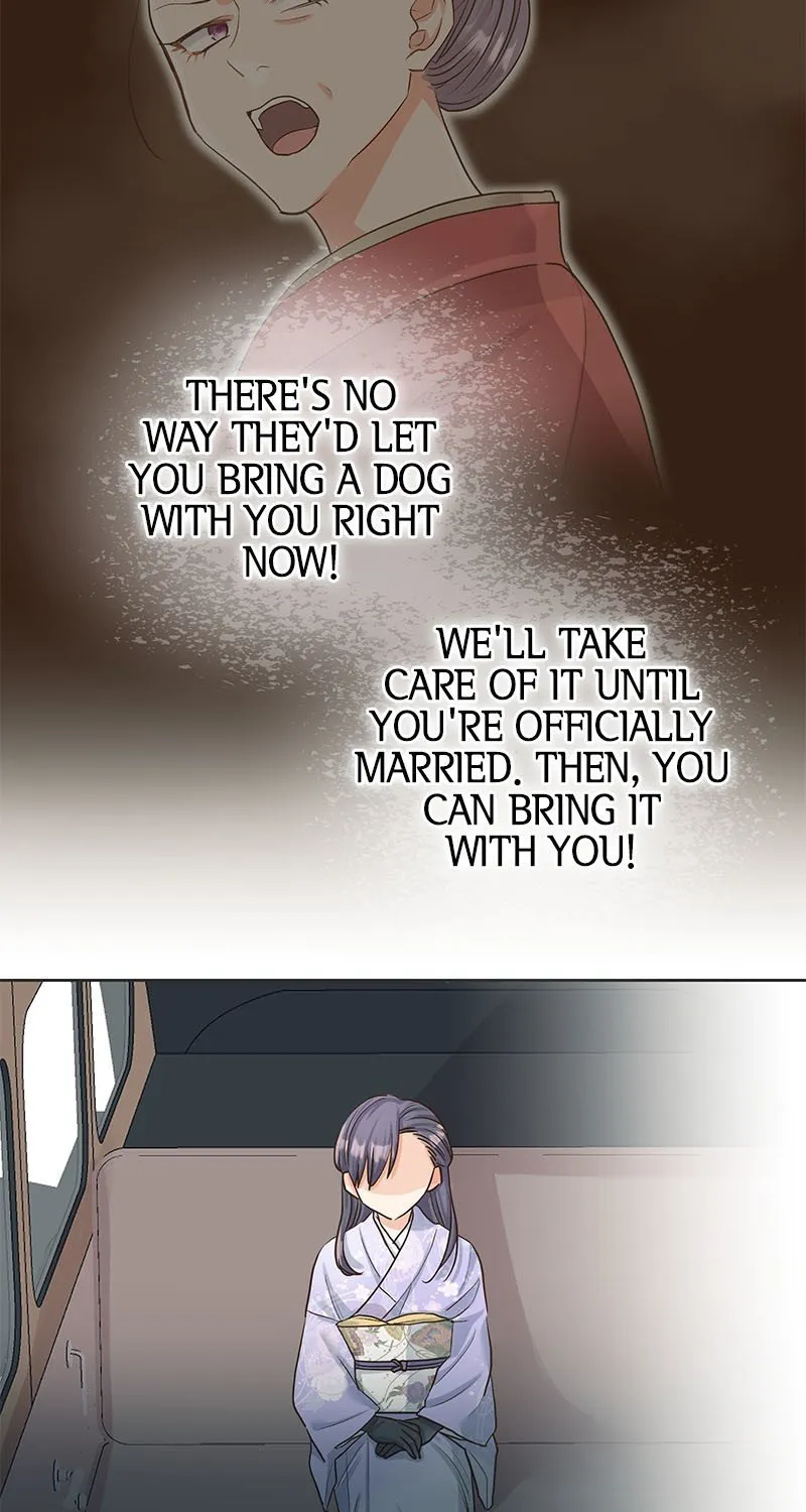 The White Wolf’s Bride Chapter 1 page 108 - 