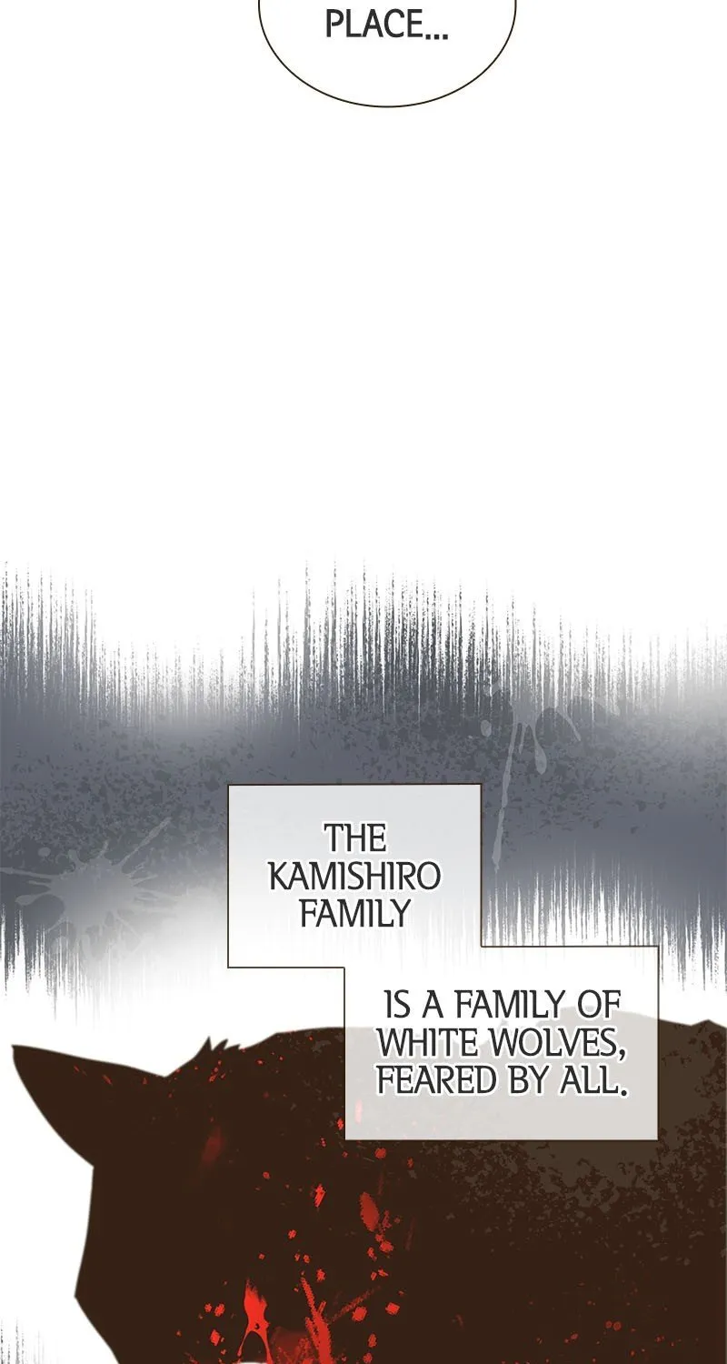 The White Wolf’s Bride Chapter 1 page 91 - 