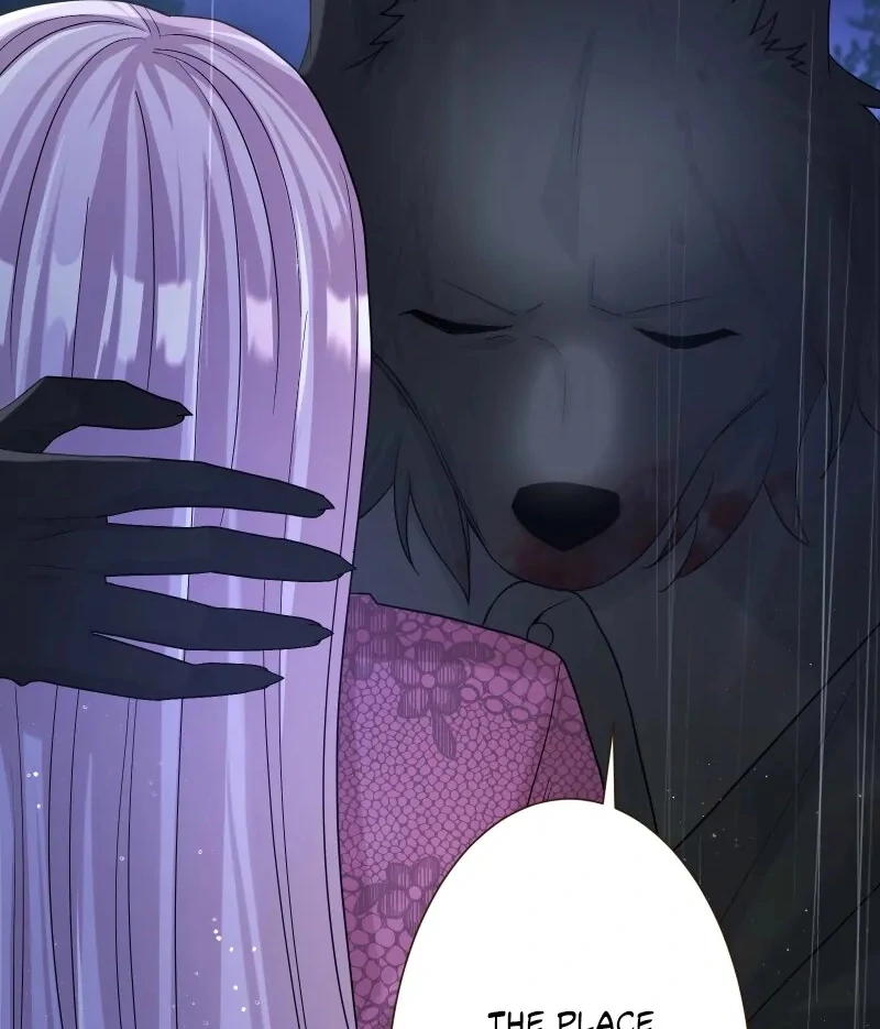 The White Wolf’s Bride Chapter 100 page 70 - 