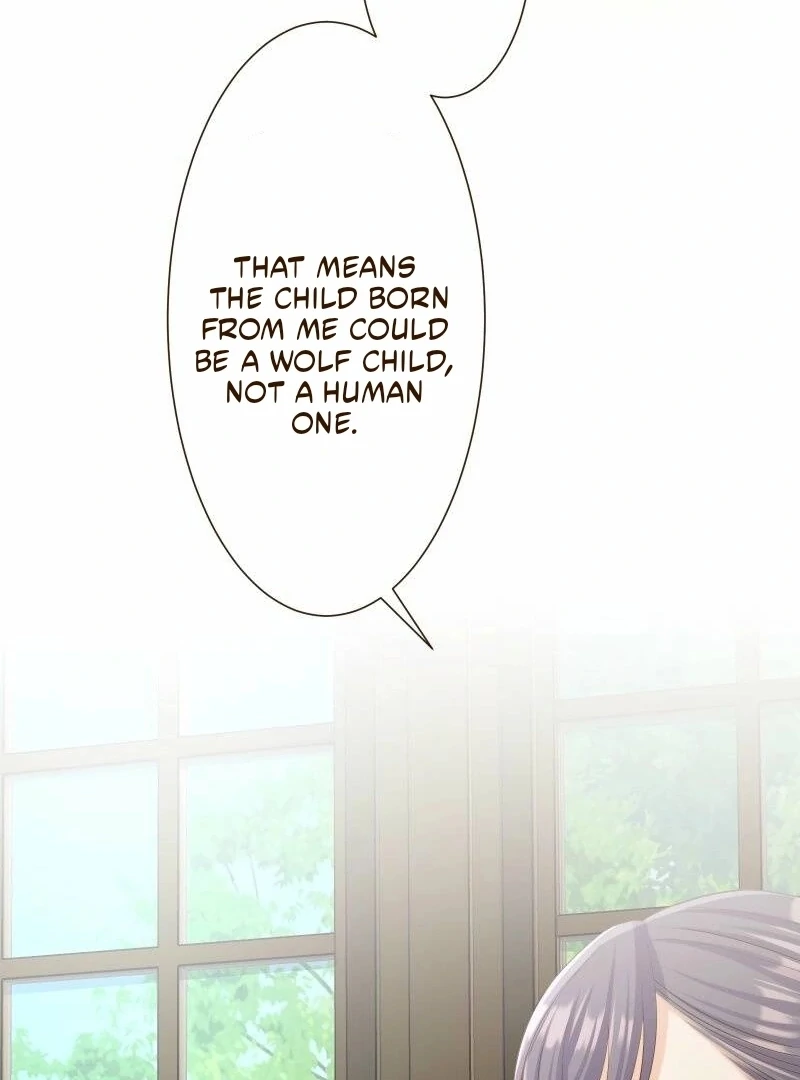 The White Wolf’s Bride Chapter 102 page 74 - 