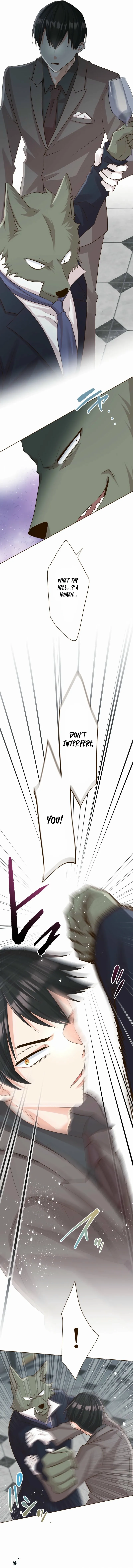 The White Wolf’s Bride Chapter 107 page 9 - 