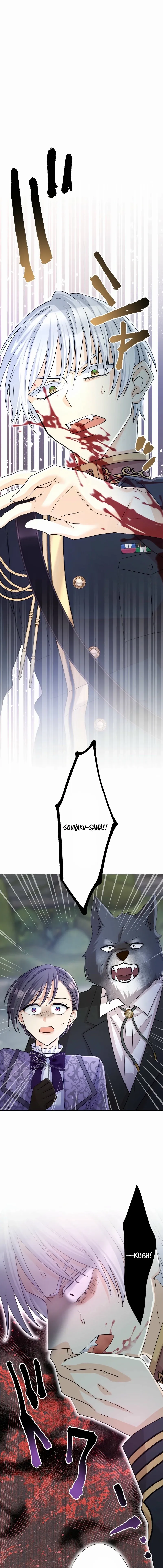 The White Wolf’s Bride Chapter 111 page 12 - 