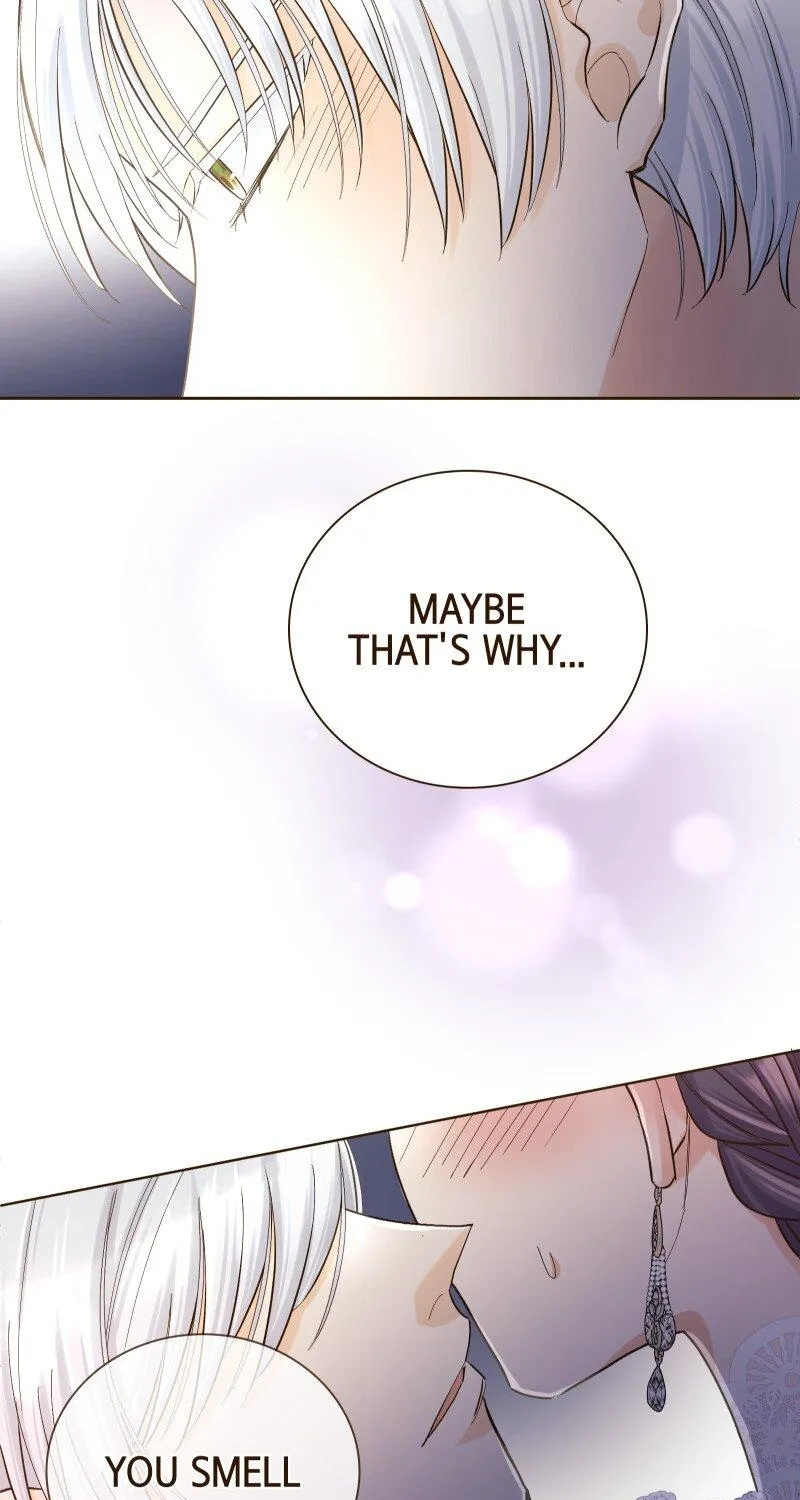 The White Wolf’s Bride Chapter 17 page 82 - 