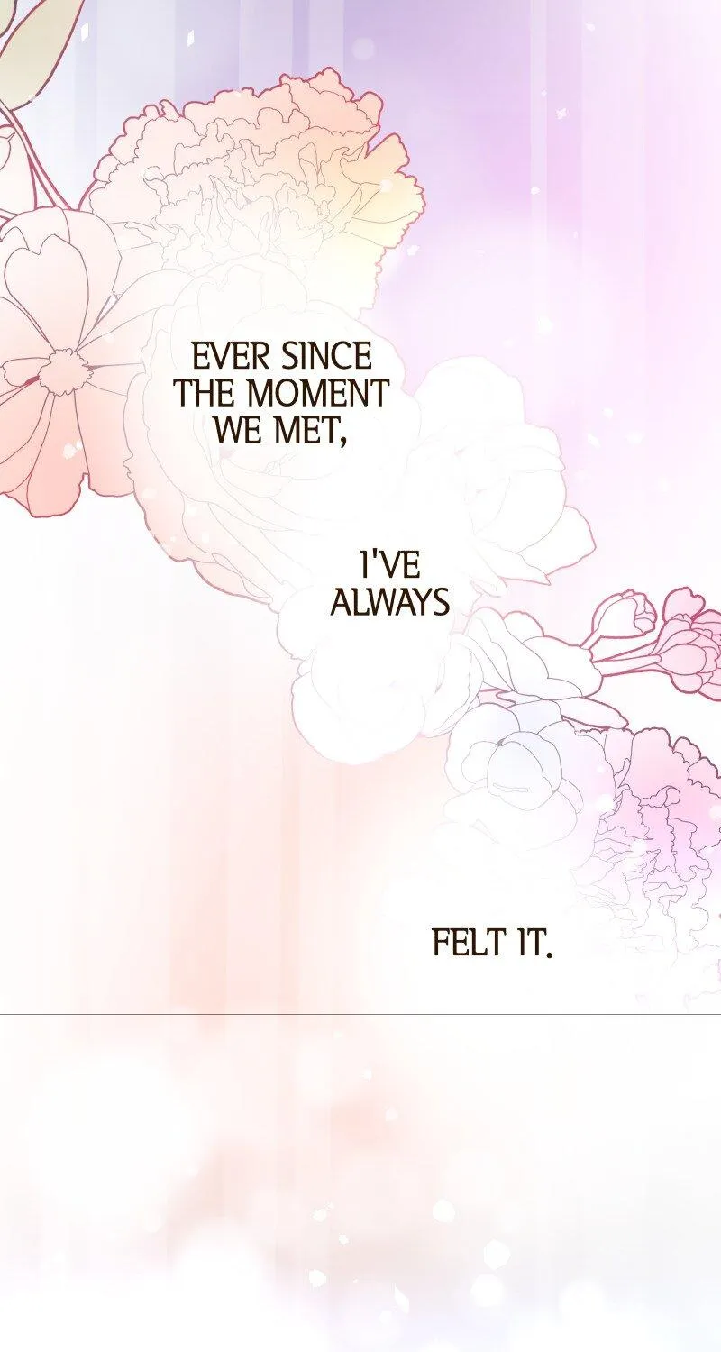 The White Wolf’s Bride Chapter 17 page 89 - 