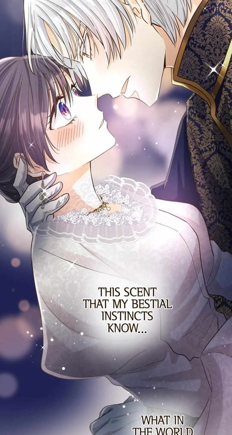 The White Wolf’s Bride Chapter 17 page 91 - 