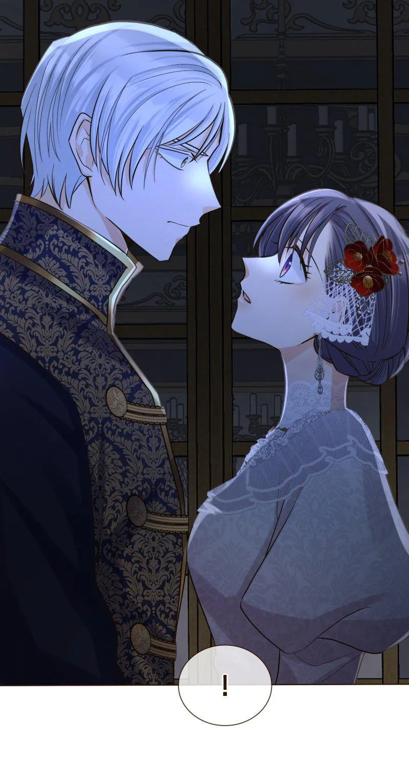 The White Wolf’s Bride Chapter 18 page 19 - 