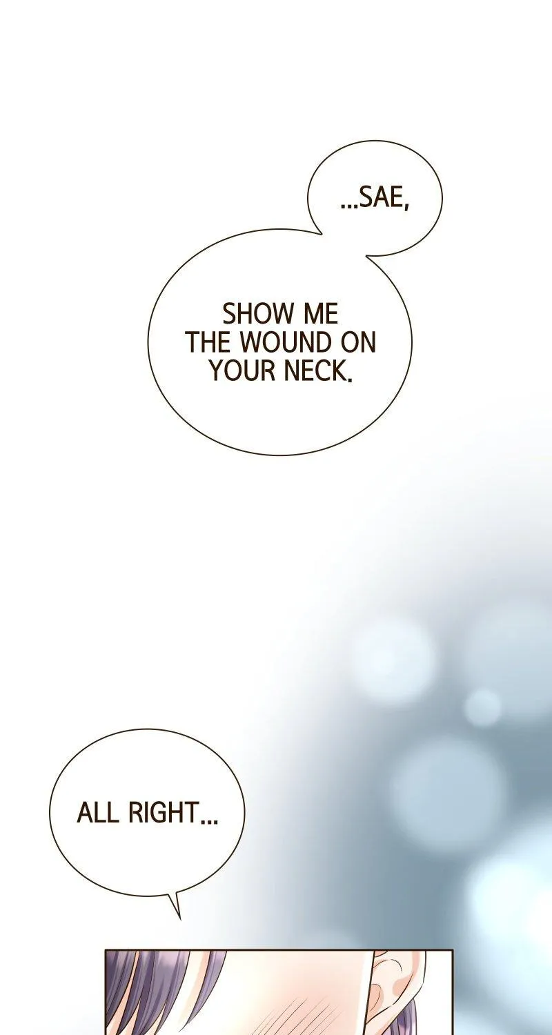 The White Wolf’s Bride Chapter 19 page 115 - 