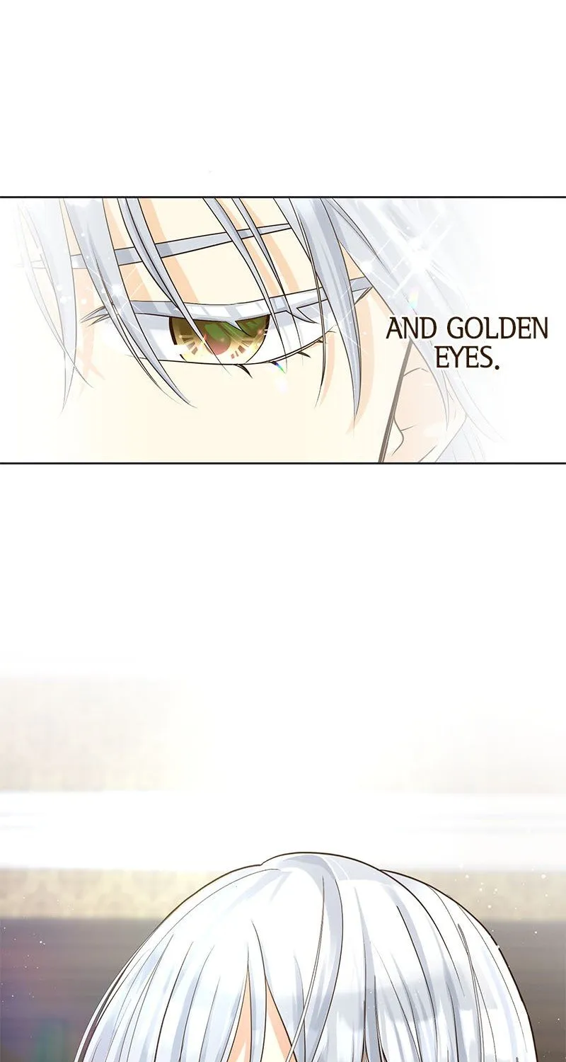 The White Wolf’s Bride Chapter 2 page 34 - 