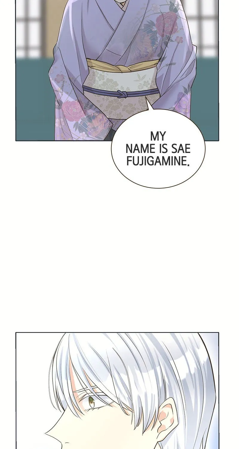 The White Wolf’s Bride Chapter 2 page 42 - 