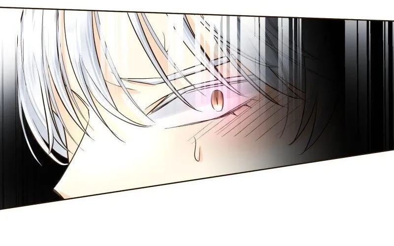 The White Wolf’s Bride Chapter 20 page 34 - 