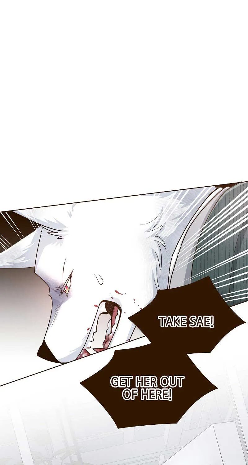 The White Wolf’s Bride Chapter 23 page 39 - 