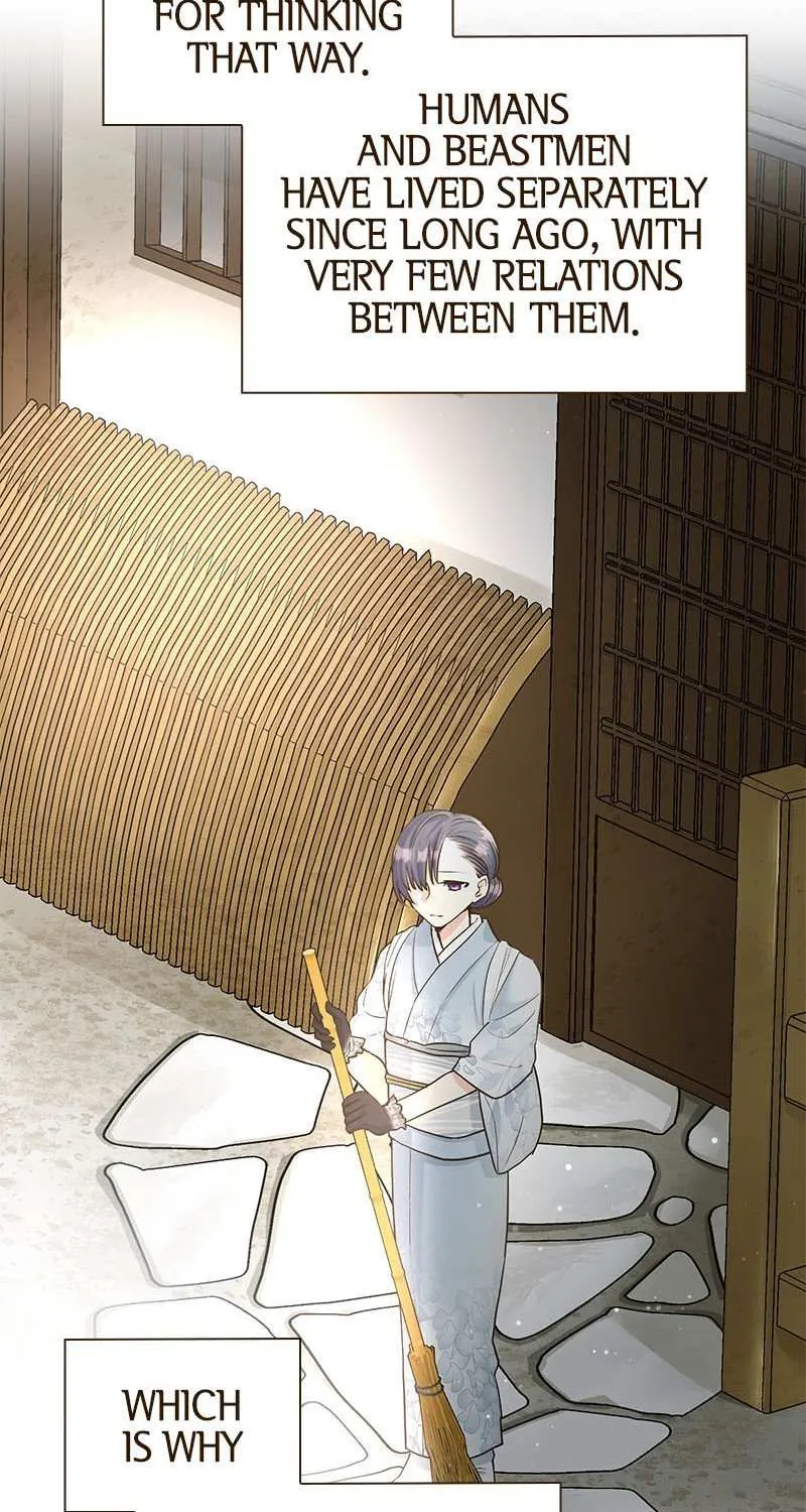 The White Wolf’s Bride Chapter 3 page 13 - 