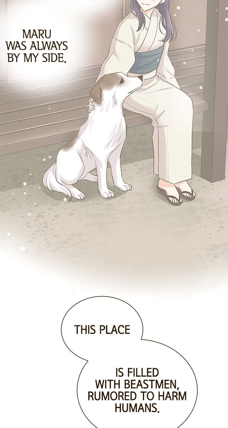 The White Wolf’s Bride Chapter 3 page 18 - 