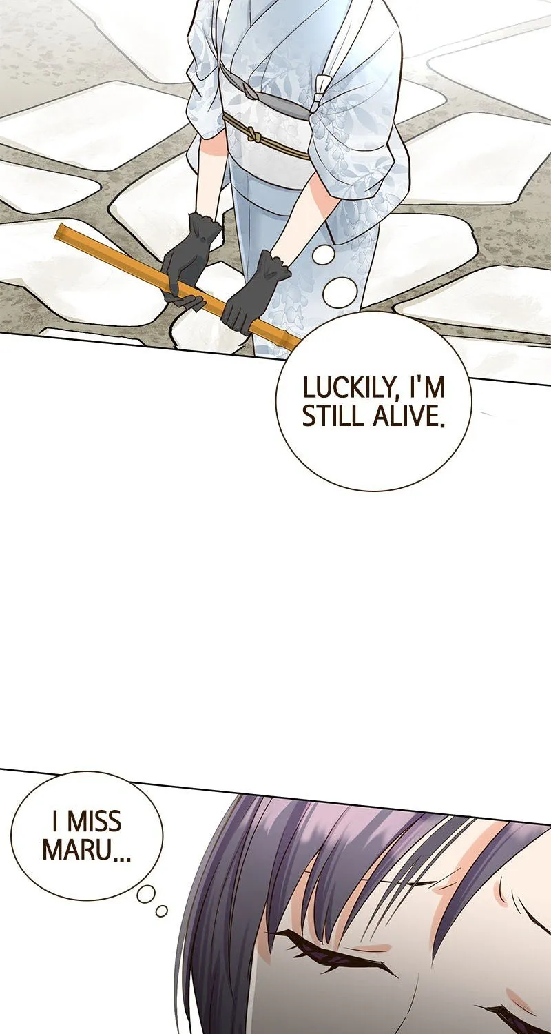 The White Wolf’s Bride Chapter 3 page 20 - 