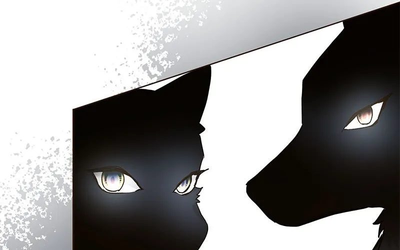The White Wolf’s Bride Chapter 4 page 38 - 