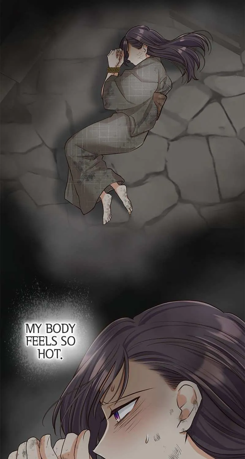 The White Wolf’s Bride Chapter 4 page 84 - 