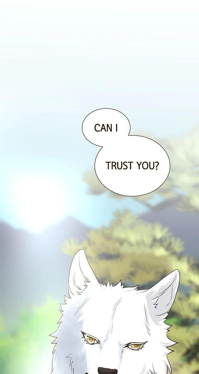 The White Wolf’s Bride Chapter 6 page 80 - 