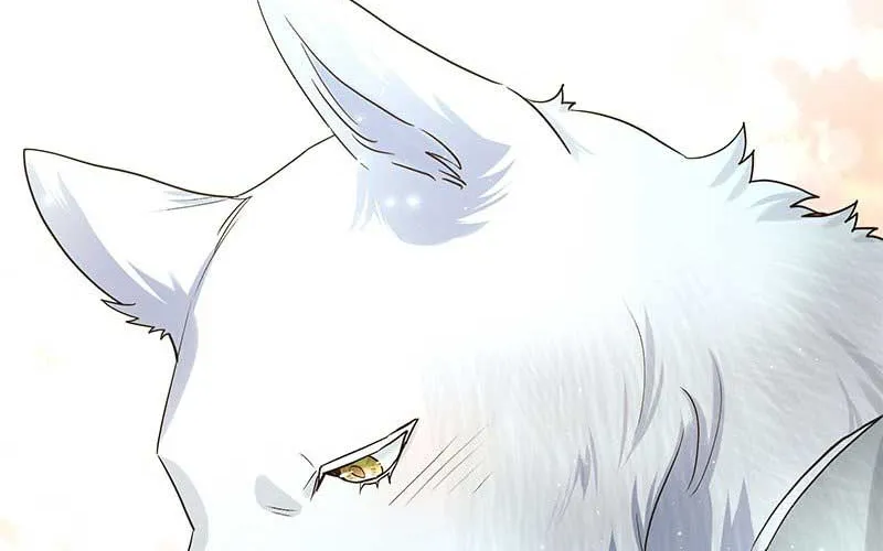 The White Wolf’s Bride Chapter 7 page 73 - 