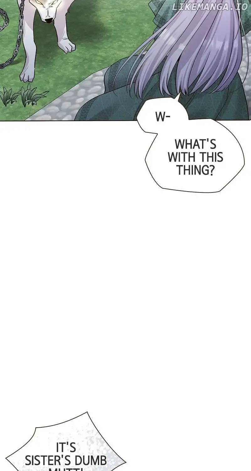 The White Wolf’s Bride Chapter 8 page 19 - 