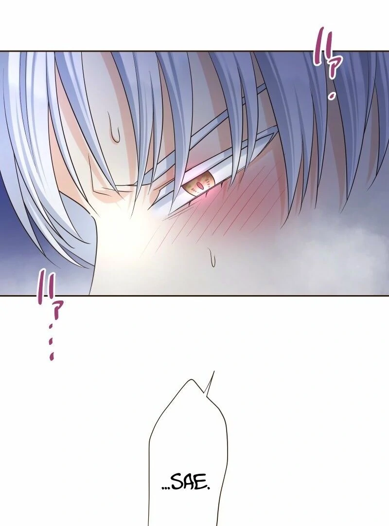 The White Wolf’s Bride Chapter 87 page 39 - 