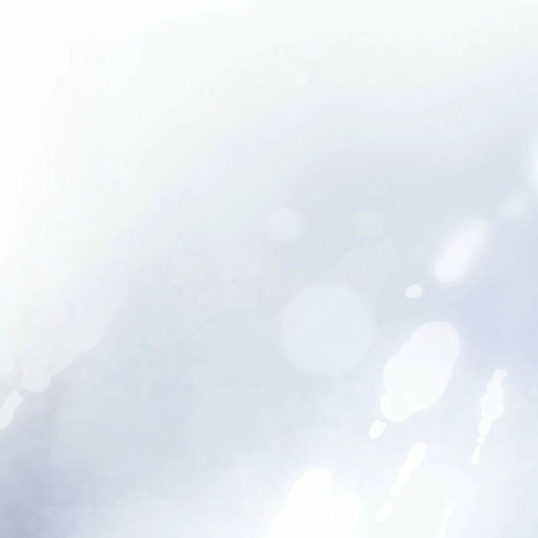 The White Wolf’s Bride Chapter 87 page 9 - 