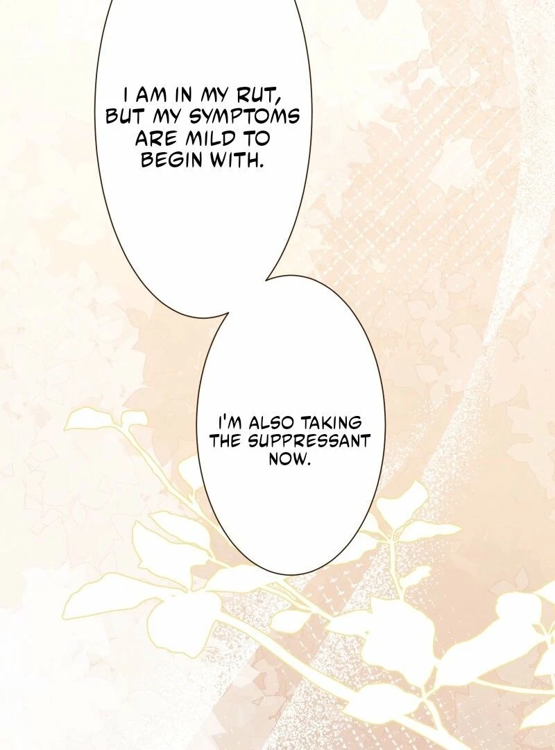 The White Wolf’s Bride Chapter 87 page 86 - 
