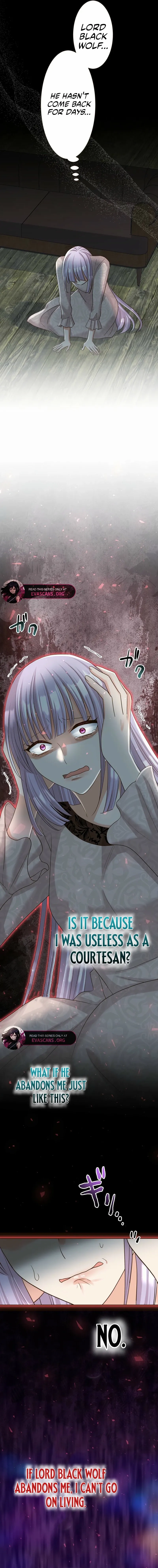 The White Wolf’s Bride Chapter 88 page 18 - 