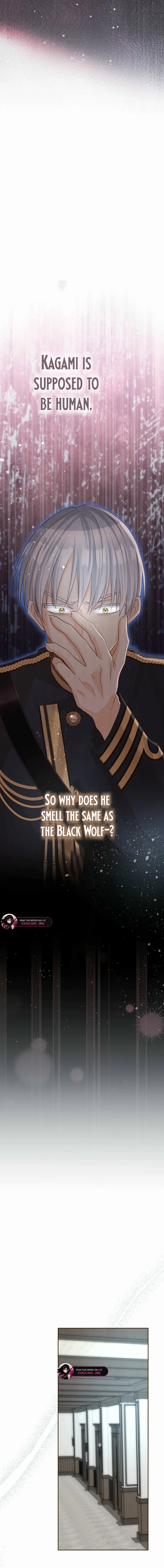 The White Wolf’s Bride Chapter 89 page 17 - 