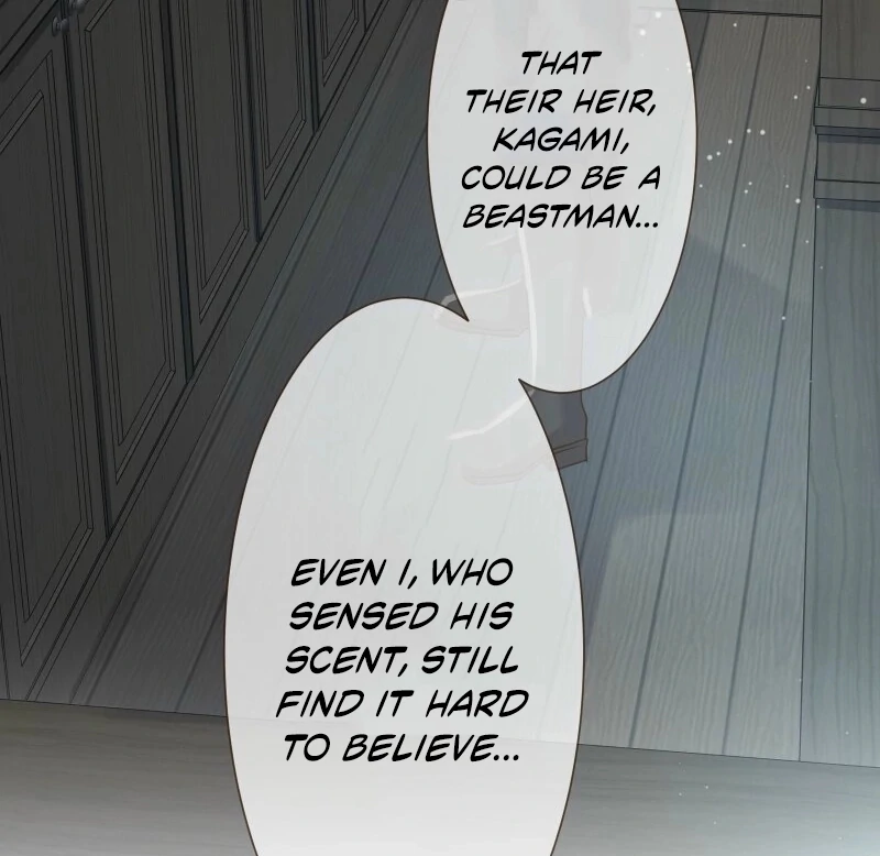 The White Wolf’s Bride Chapter 91 page 9 - 
