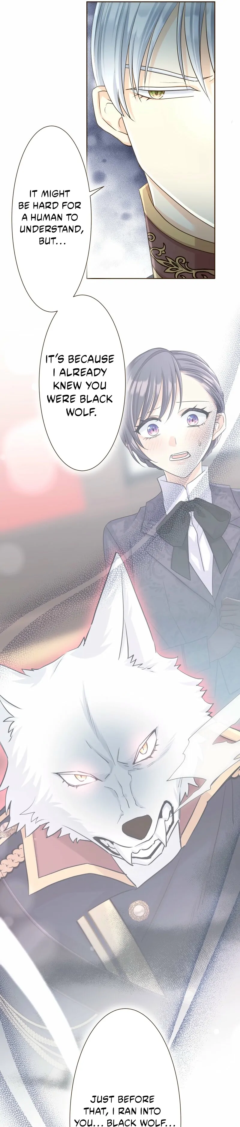 The White Wolf’s Bride Chapter 93 page 47 - 