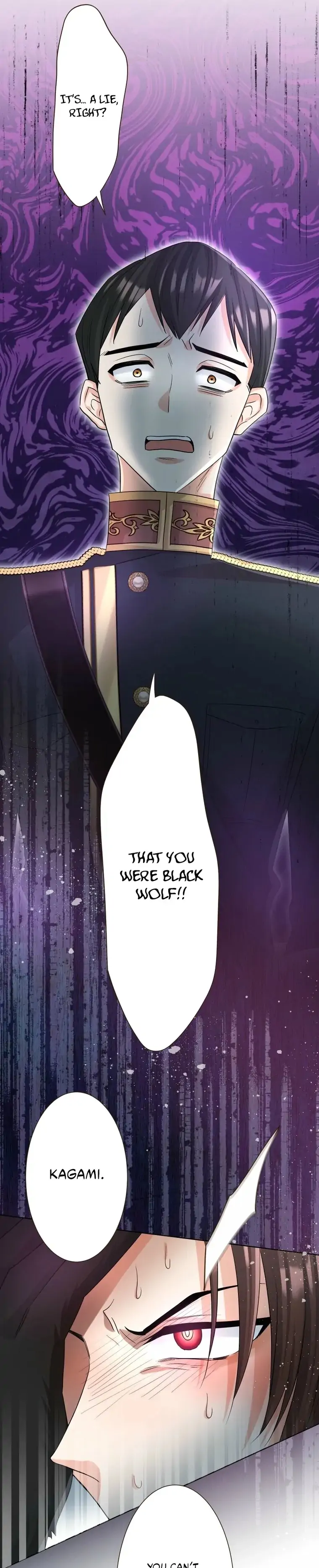 The White Wolf’s Bride Chapter 94 page 17 - 