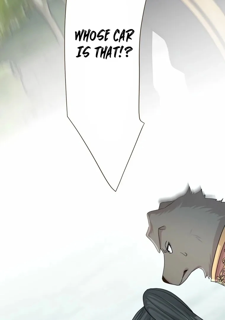The White Wolf’s Bride Chapter 94 page 73 - 