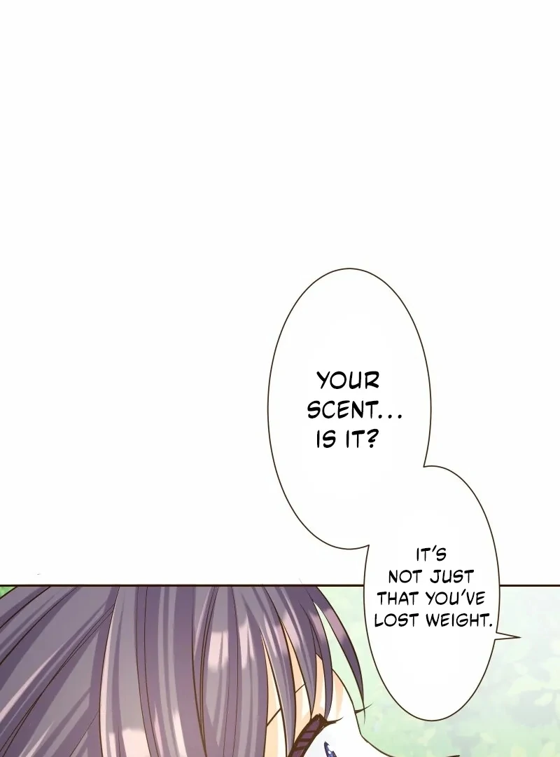 The White Wolf’s Bride Chapter 95 page 99 - 